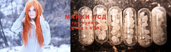 прущие грибы Касимов