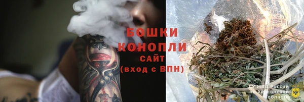 прущие грибы Касимов