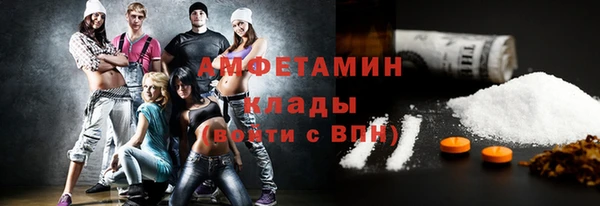 дмт Пересвет