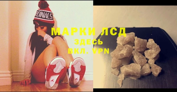 прущие грибы Касимов