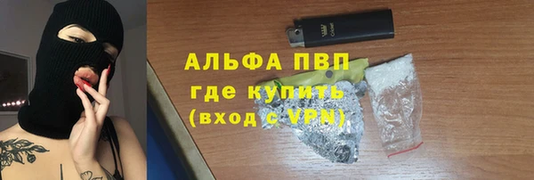 прущие грибы Касимов