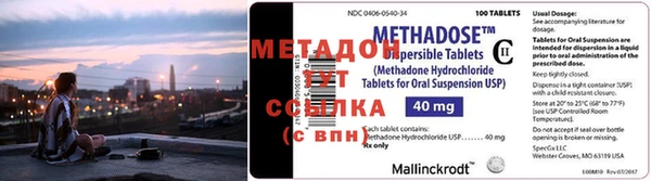 прущие грибы Касимов