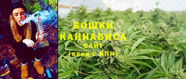 прущие грибы Касимов