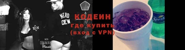 прущие грибы Касимов
