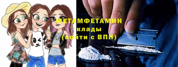 прущие грибы Касимов