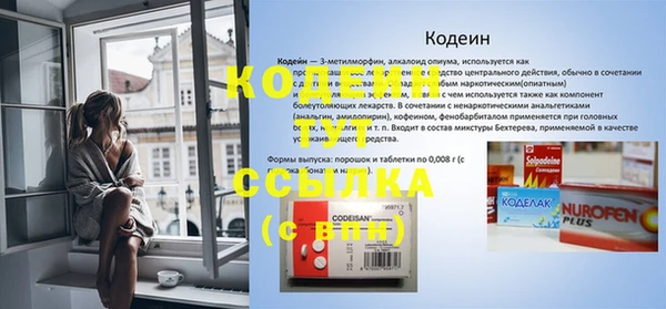 прущие грибы Касимов