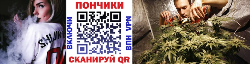 Каннабис конопля Североуральск