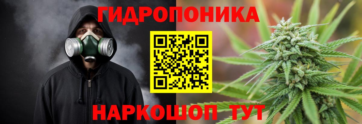Шишки марихуана план  Канабис OG Kush  Каннабис SATIVA & INDICA  Североуральск  МАРИХУАНА OG Kush  Вход с VPN 